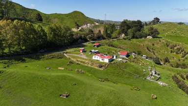 194 Tiriraukawa Road_2