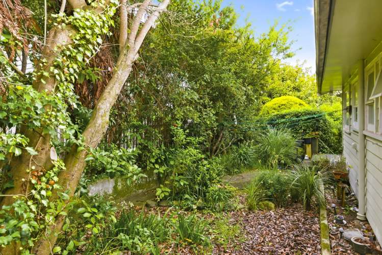 111 Winchester Street Levin_21