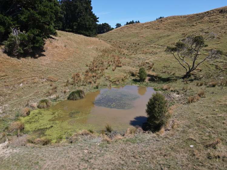 Esdaile Road Dannevirke_17