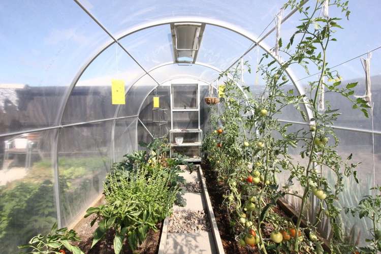 12 Bradbury Avenue Rolleston_14