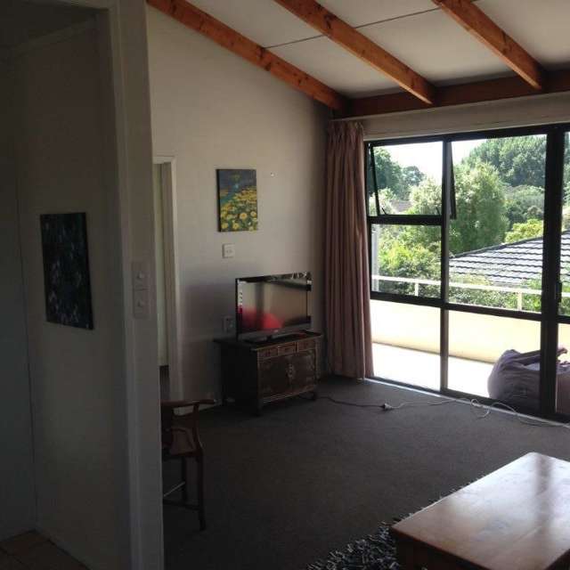 1/66 Allum Street Kohimarama_1