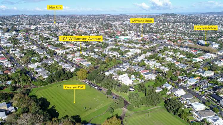 103 Williamson Avenue Grey Lynn_18