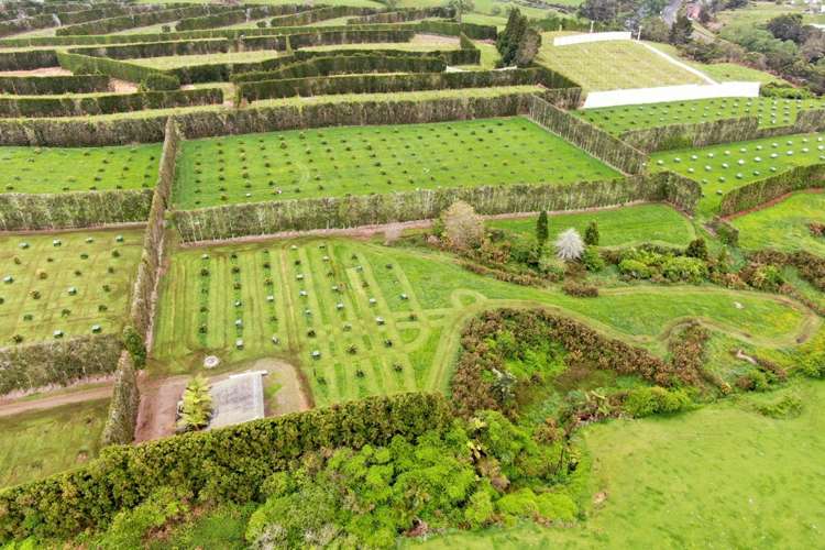 211 Pukekauri Road Waikino_18