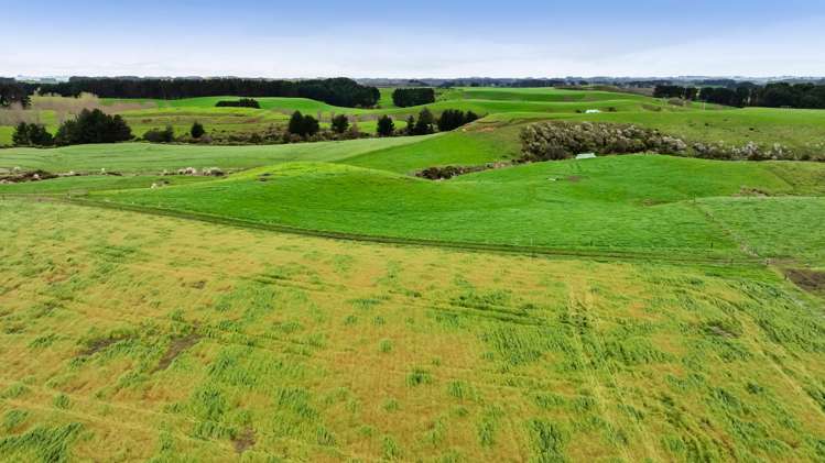 53 Lander Road Ohangai_6