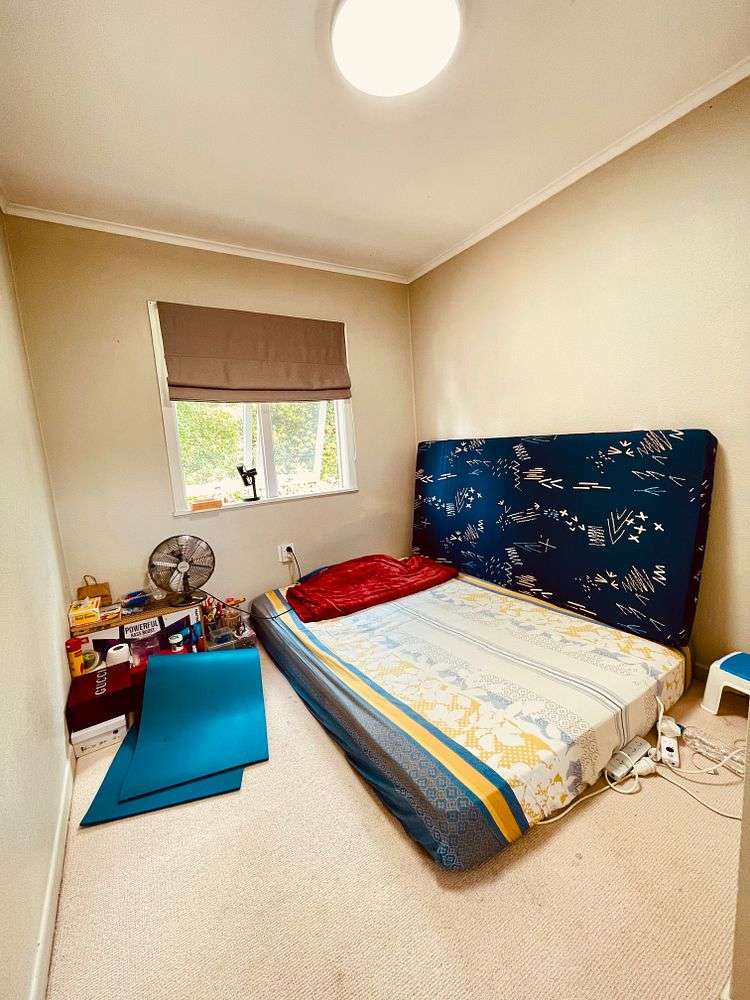 6 Knox Road Hillpark_8