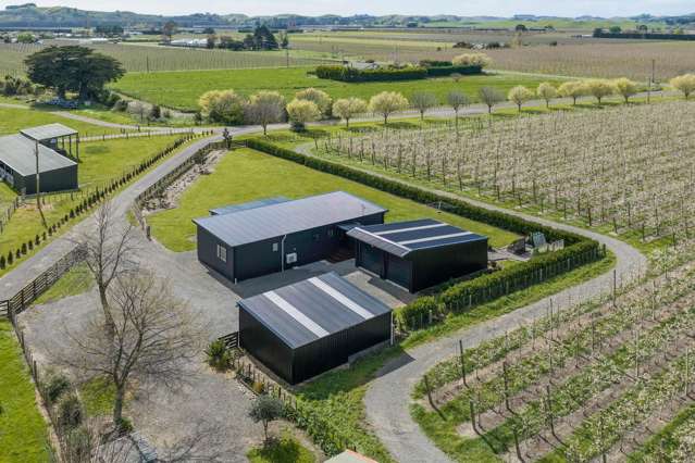 268 Moteo Pa Road Puketapu_1