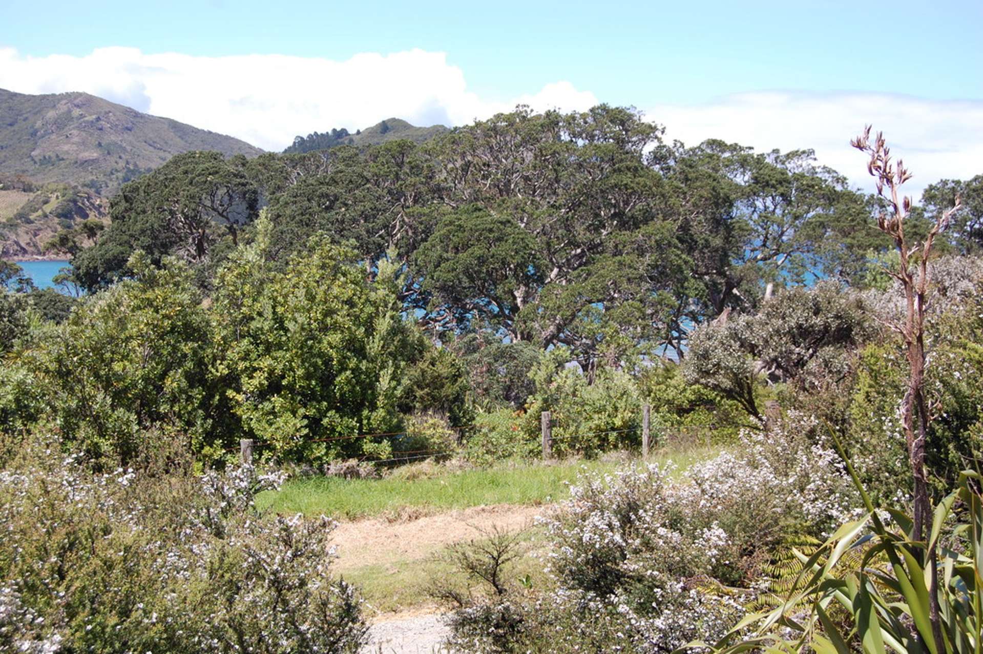 348 Blind Bay Road Great Barrier Island (Aotea Island)_0