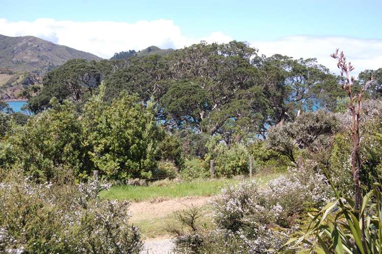 348 Blind Bay Road Great Barrier Island (Aotea Island)_0