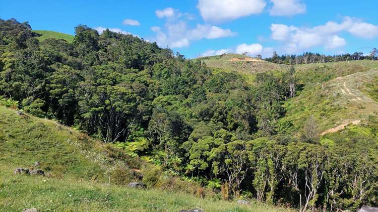 1104 Tapuhi Road Hikurangi Rd2_21