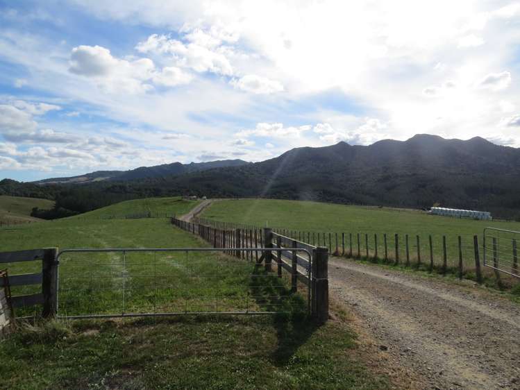 471 Sainsbury Road Pirongia_11