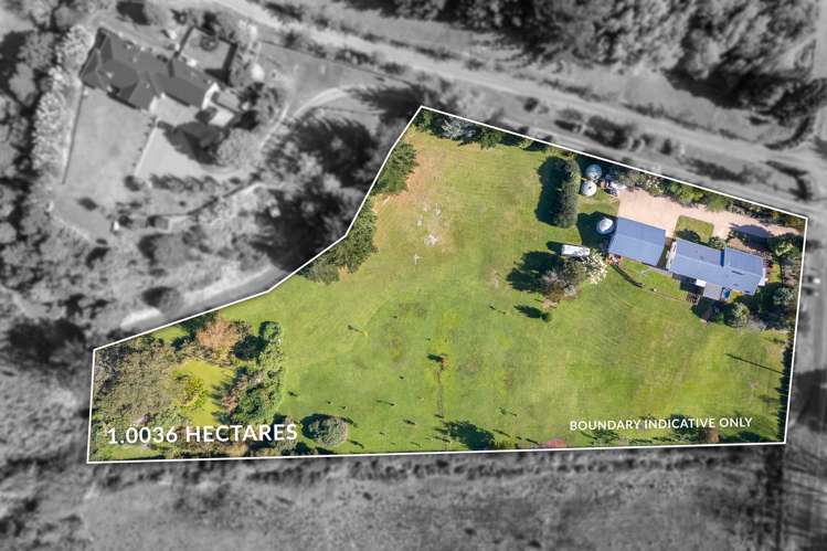 149 Peka Peka Road Peka Peka_23