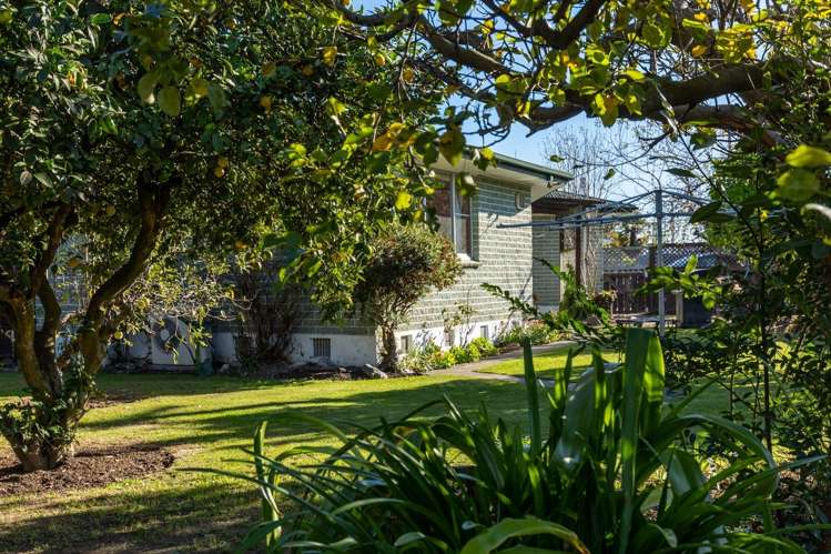 77a Main Street Blenheim Central_11