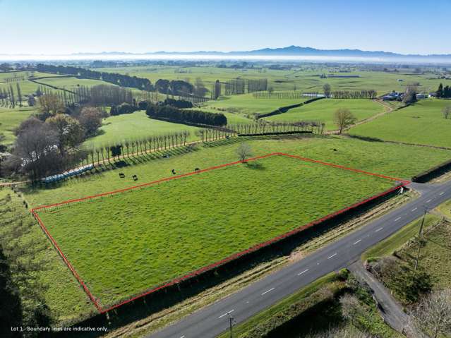 Lot Lot 1 & 2/- Tauhei Road Morrinsville_3