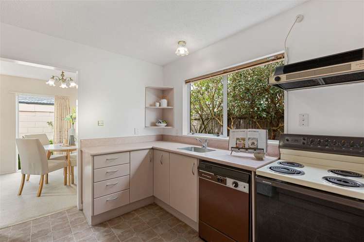 215b Main North Road Redwood_8