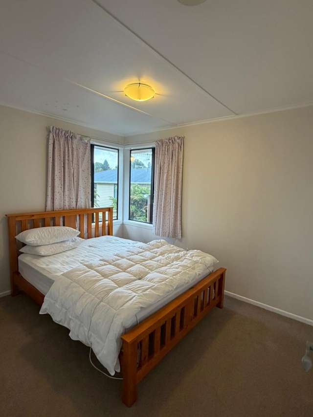 20 Nikau Street Springfield_4