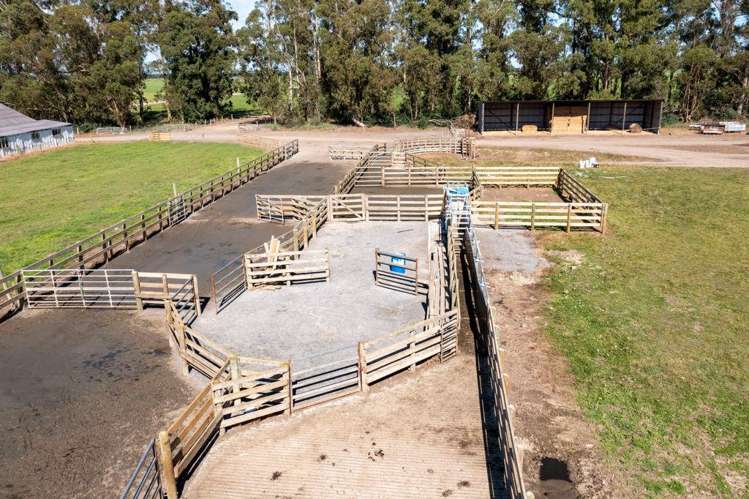 1329 Wards Road Darfield_8