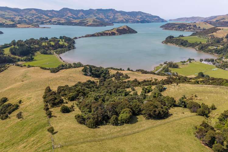 175 Barrys Bay Valley Road Barrys Bay_12