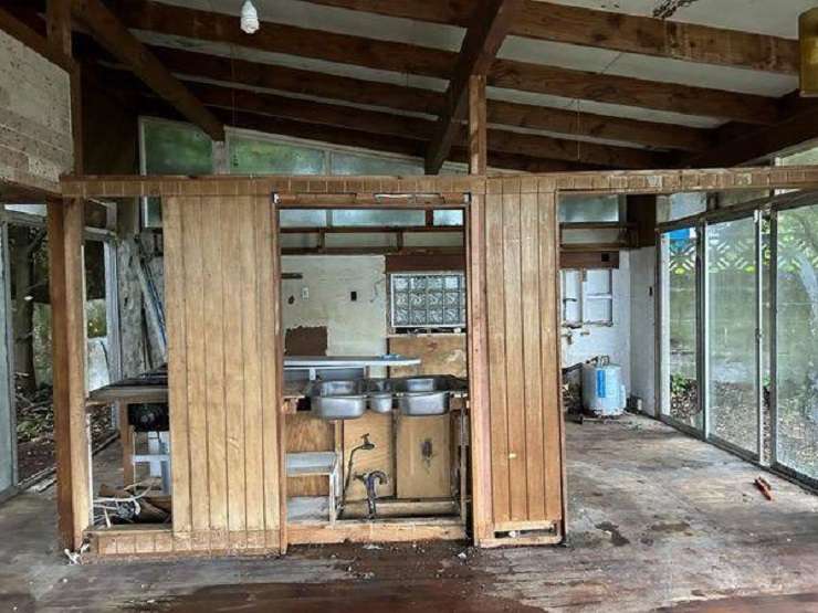 The property on Nevay Road, in Karaka Bays, Wellington had not been lived in for more than a decade and had a tree growing through it. Photo / Supplied