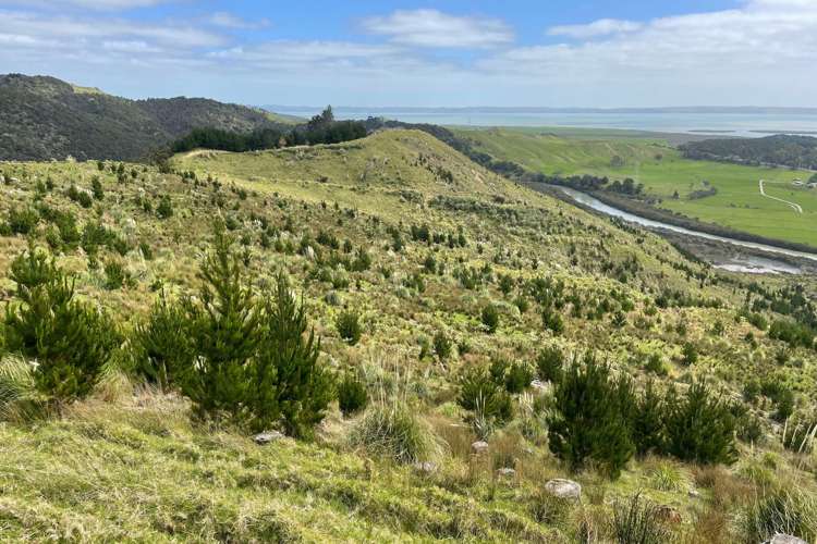3716 Kaipara Coast Highway Mangakura_1