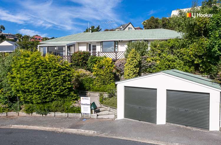 32 Aytoun Street Waverley_0