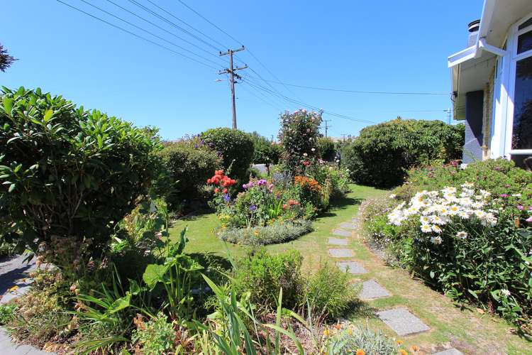 50 Howick Road Redwoodtown_8