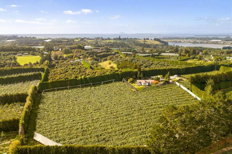 40 Woodland Road Tahawai_1