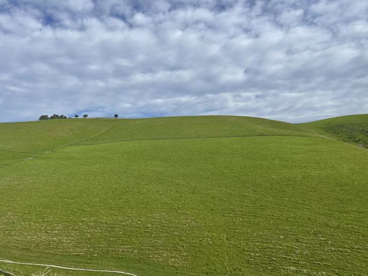 186 Murray Road Lawrence_8