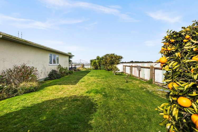 103a Masefield Avenue Maraenui_12