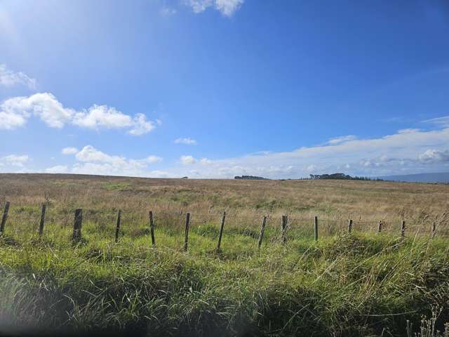 1 Basin Road Dargaville_4