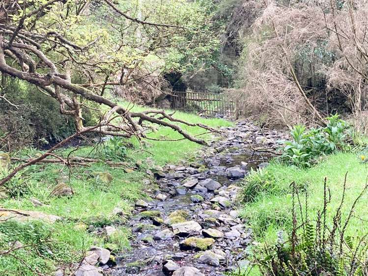 Duncan Road Hampden_8