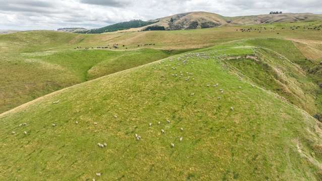 2 Cotswold Road Omihi_3