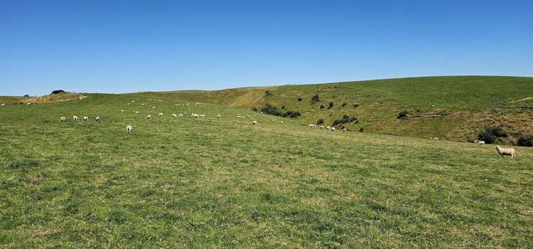 122 Middleton Road Waimahaka_15