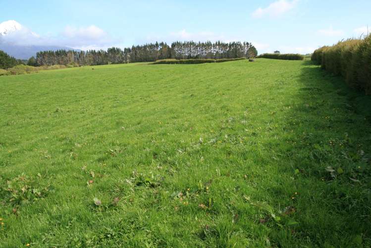 2105 Hastings Road Mahoe_19