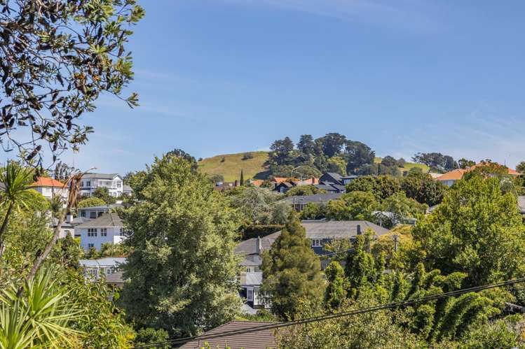 15 Lingarth Street Remuera_6