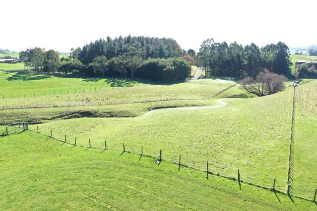 Lot 1and2 324 Homewood Road Waipawa_3