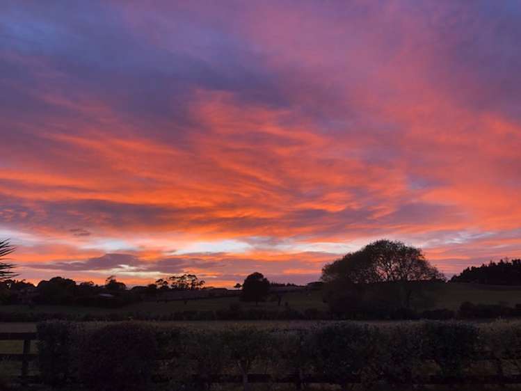 5c Armitage Place Tuakau_19