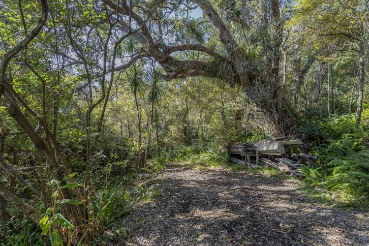 31 Mount Avenue Pauanui_7