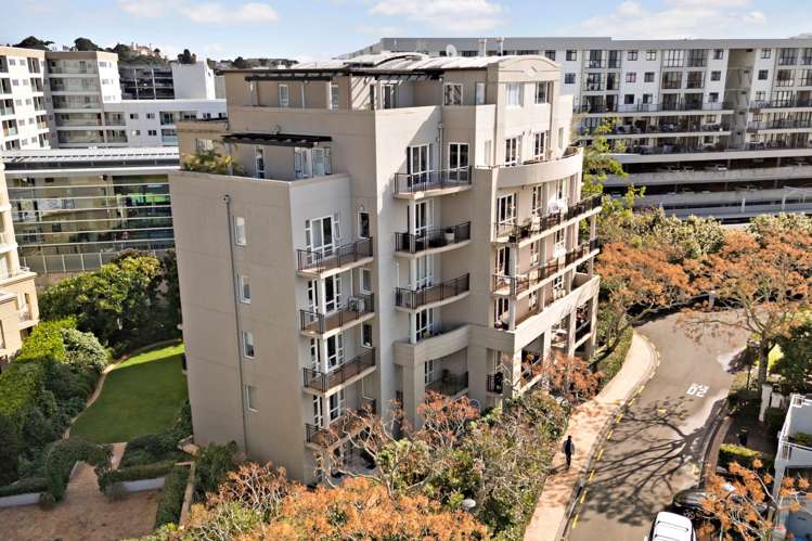 1E/18 Joseph Banks Terrace Remuera_28