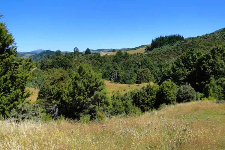 135 Canaan Road Kahurangi National Park_22