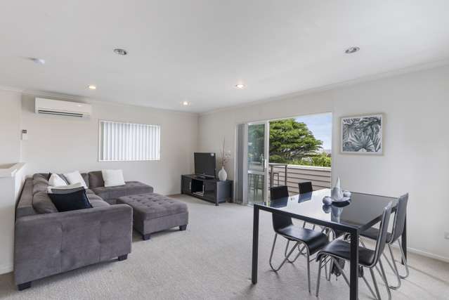 20 Bridge Street Panmure_3