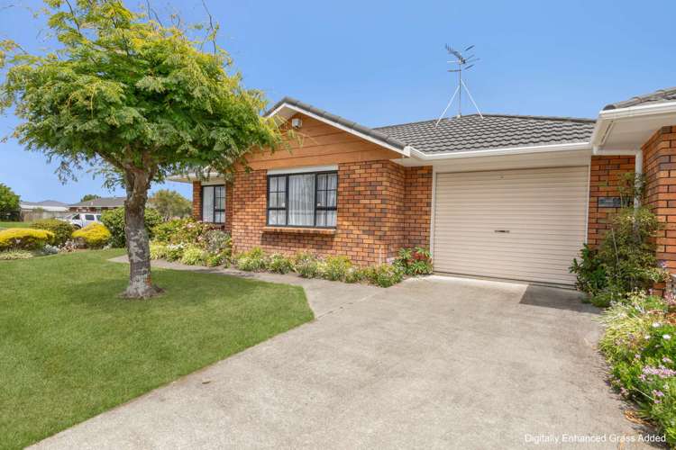 6b Saint Helens Place Tawhero_25
