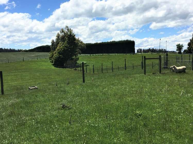 308 Waiwera Station Road Clinton and Surrounds_10