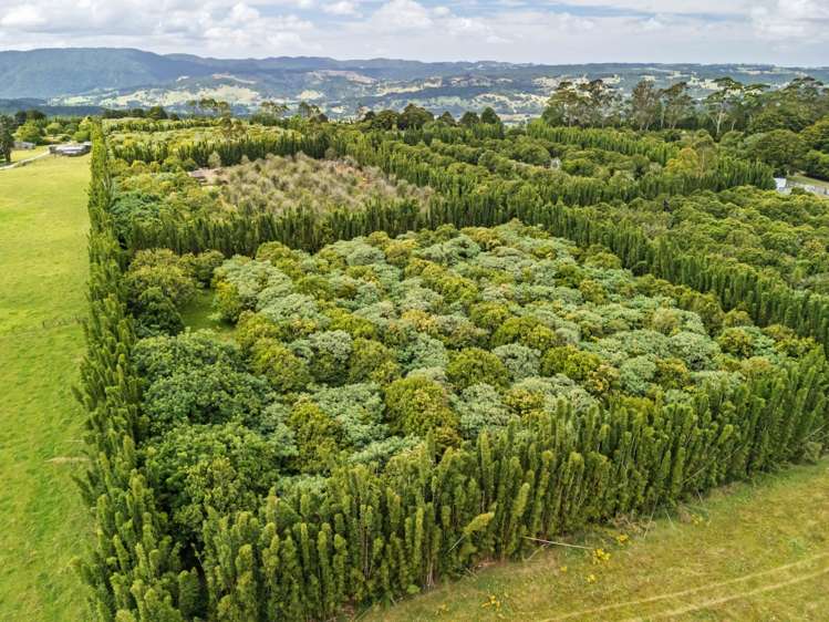 Lot 4 Horeke Road Okaihau_17