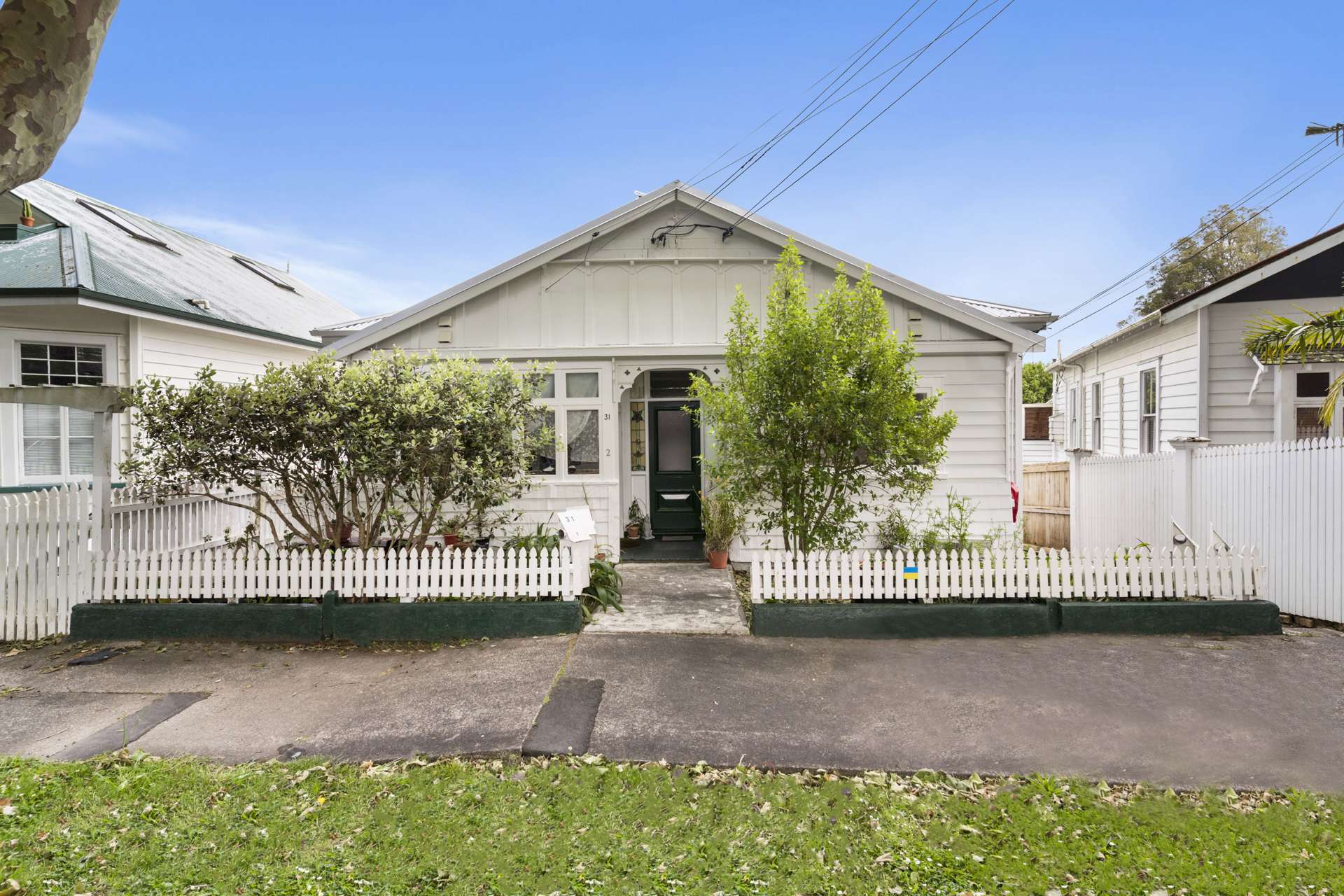 31 Castle Street Grey Lynn_0