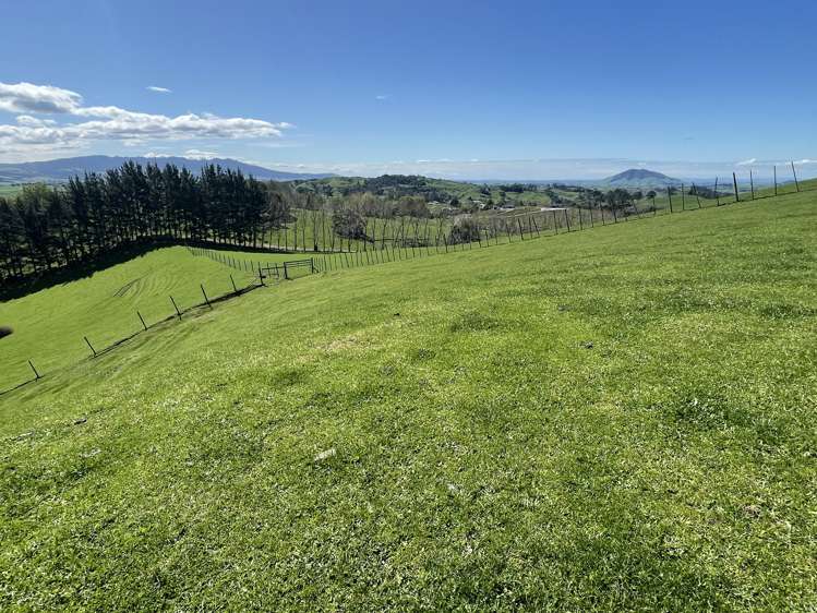481 Honikiwi Road RD3 Otorohanga_24