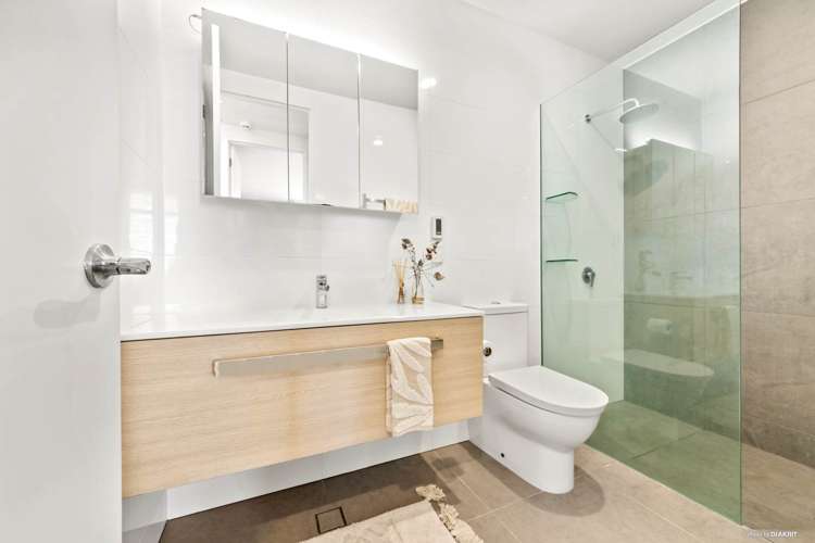 425 Murphys Road Flat Bush_7