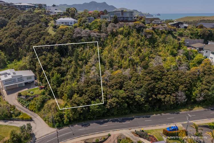 192 Buffalo Beach Road Whitianga_9