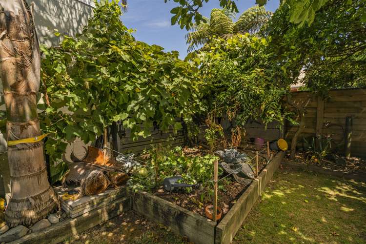 135a Robinson Road Whitianga_20