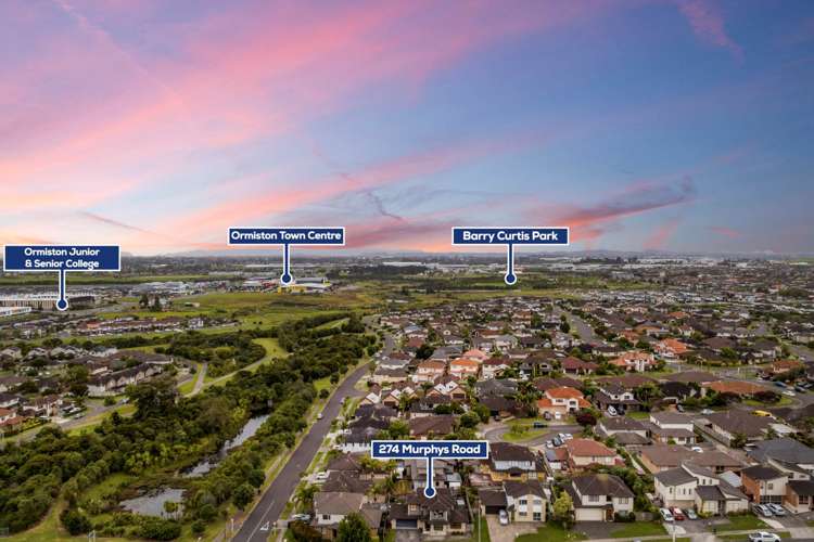 274 Murphys Road Flat Bush_22