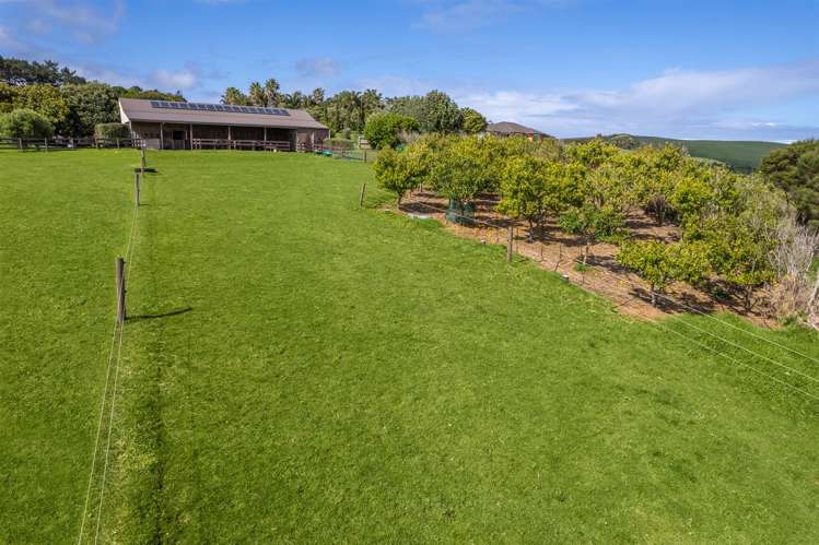 135B Hutchinson Road Helensville_30